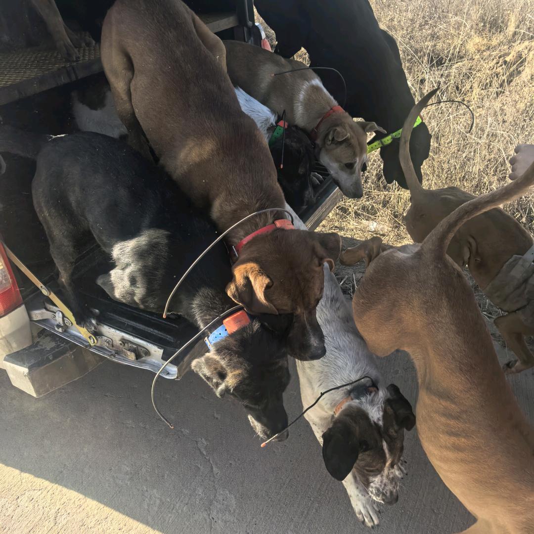 麟州刀客～公益护农