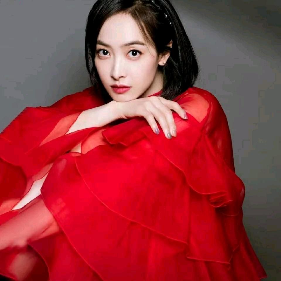 梅花香自苦寒来