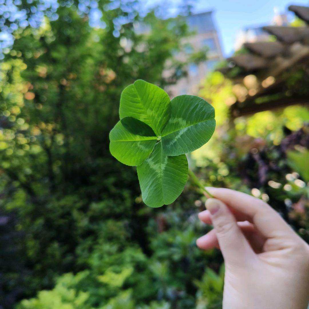 别出心裁的芃芃家