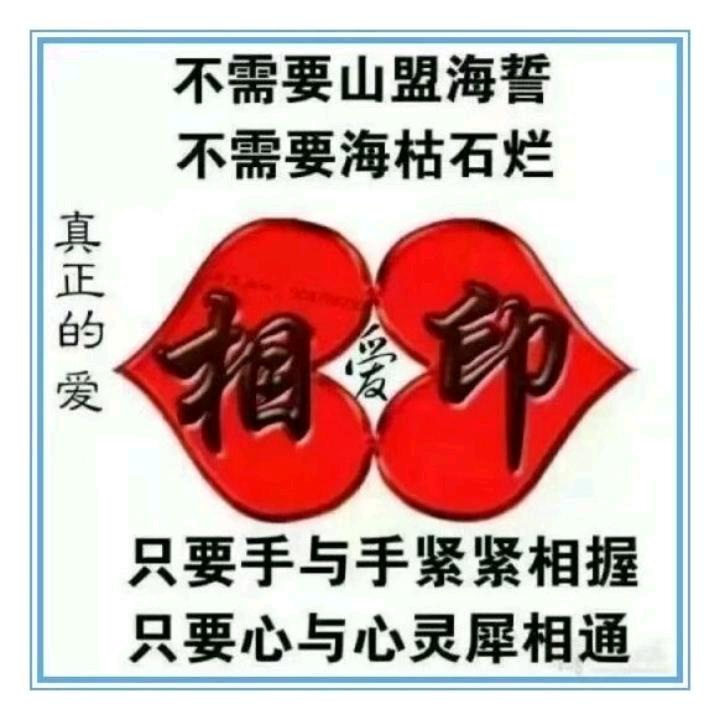 真情永远