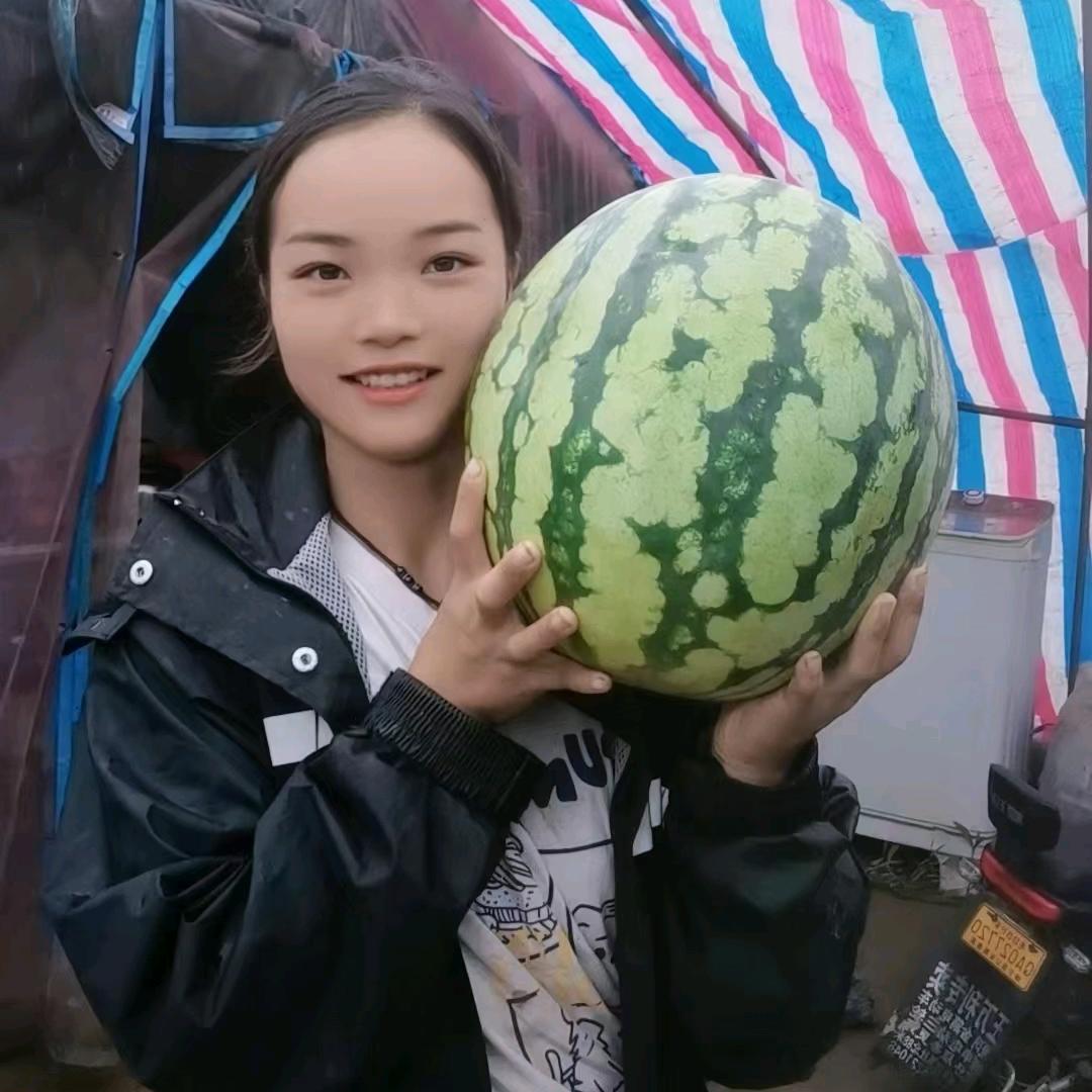 小锦李西瓜🍉