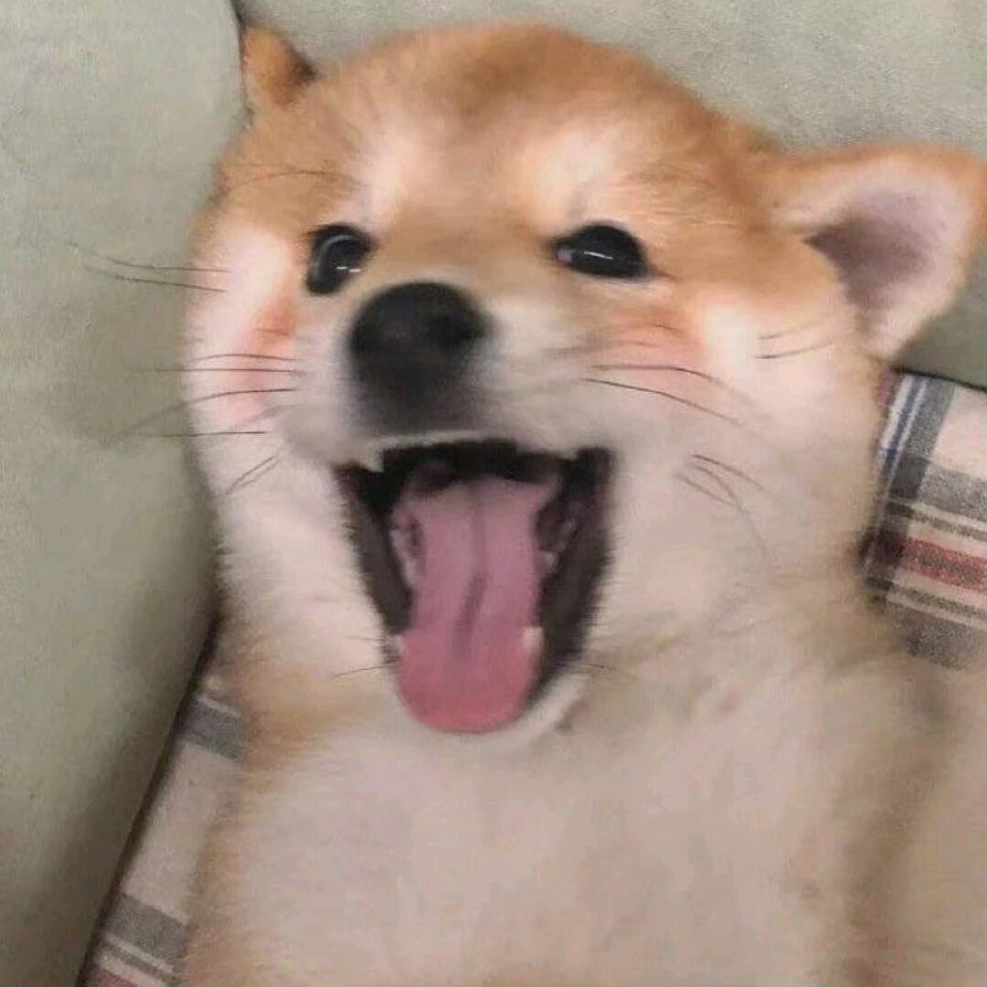 盏茶丶
