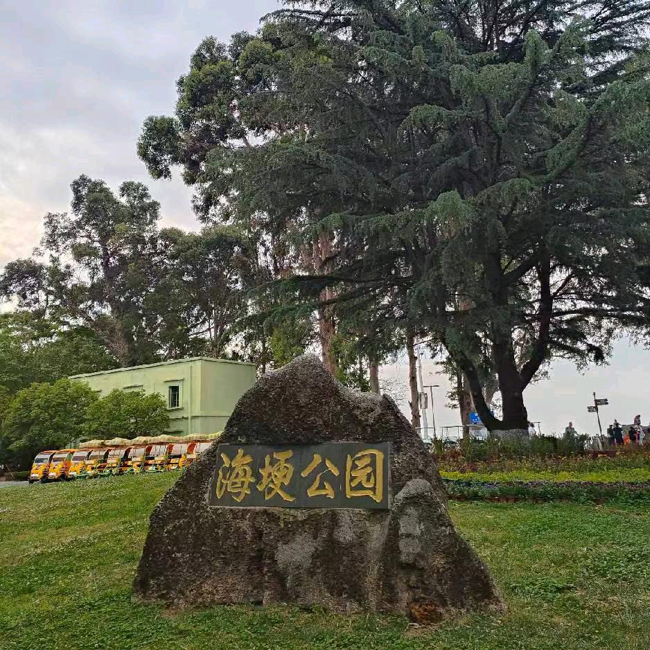 伴云一生