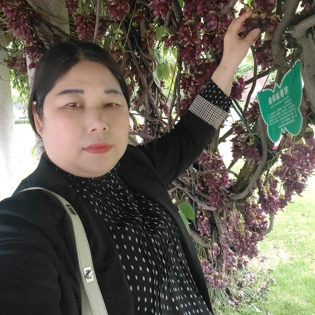 红梅萍想