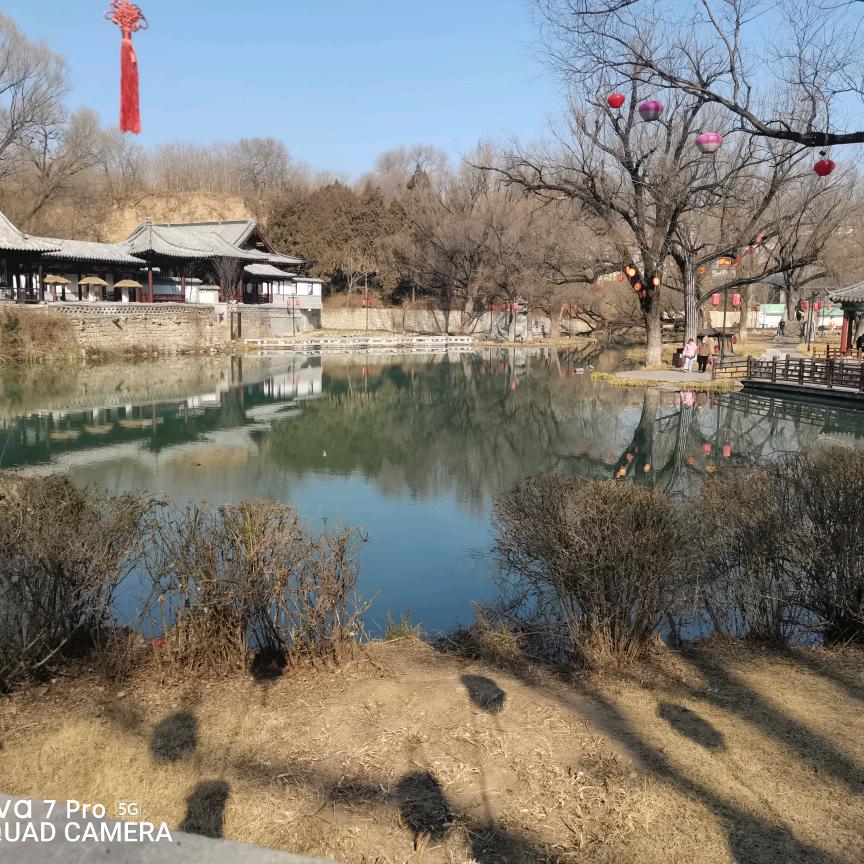 俩宝🇨🇳旗志