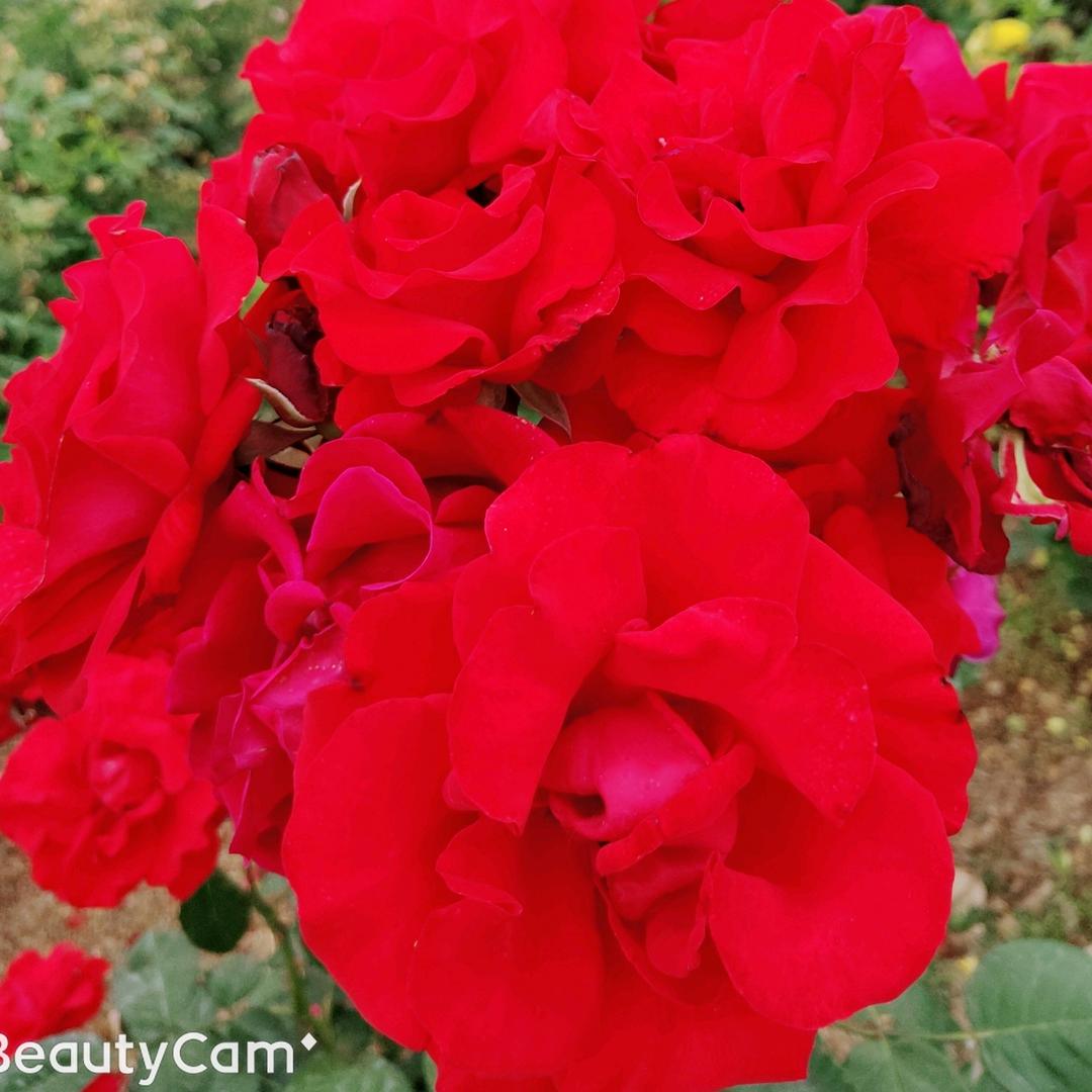 单亲妈妈👩🏻