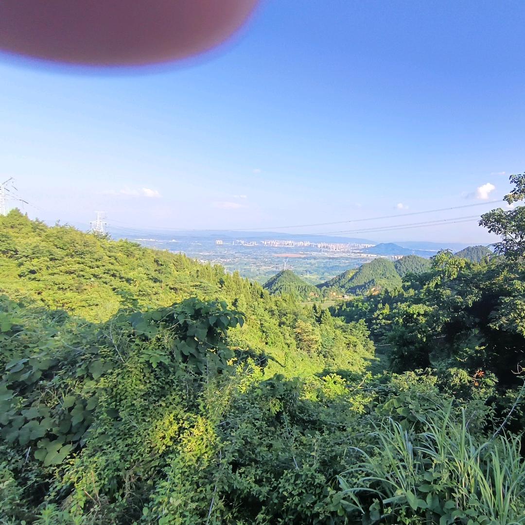 高枕無憂