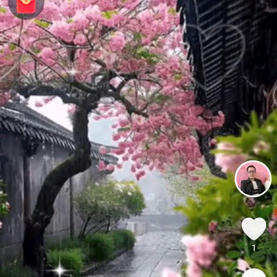 峰哥