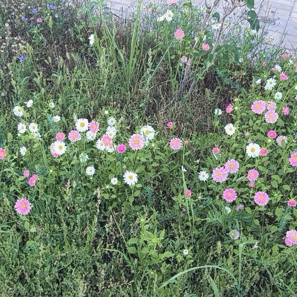 做一个没烦恼的女人