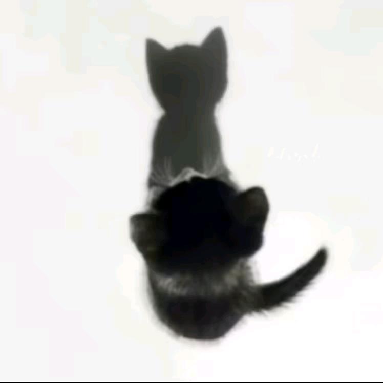 明天一定早睡