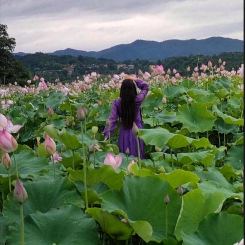 人间值得（三娃妈)