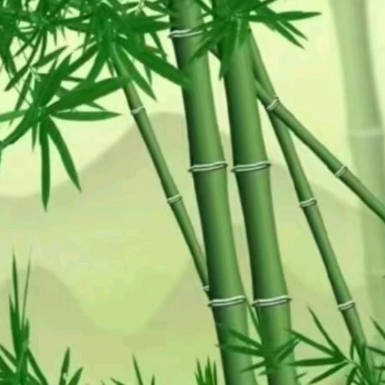 竹高亮节