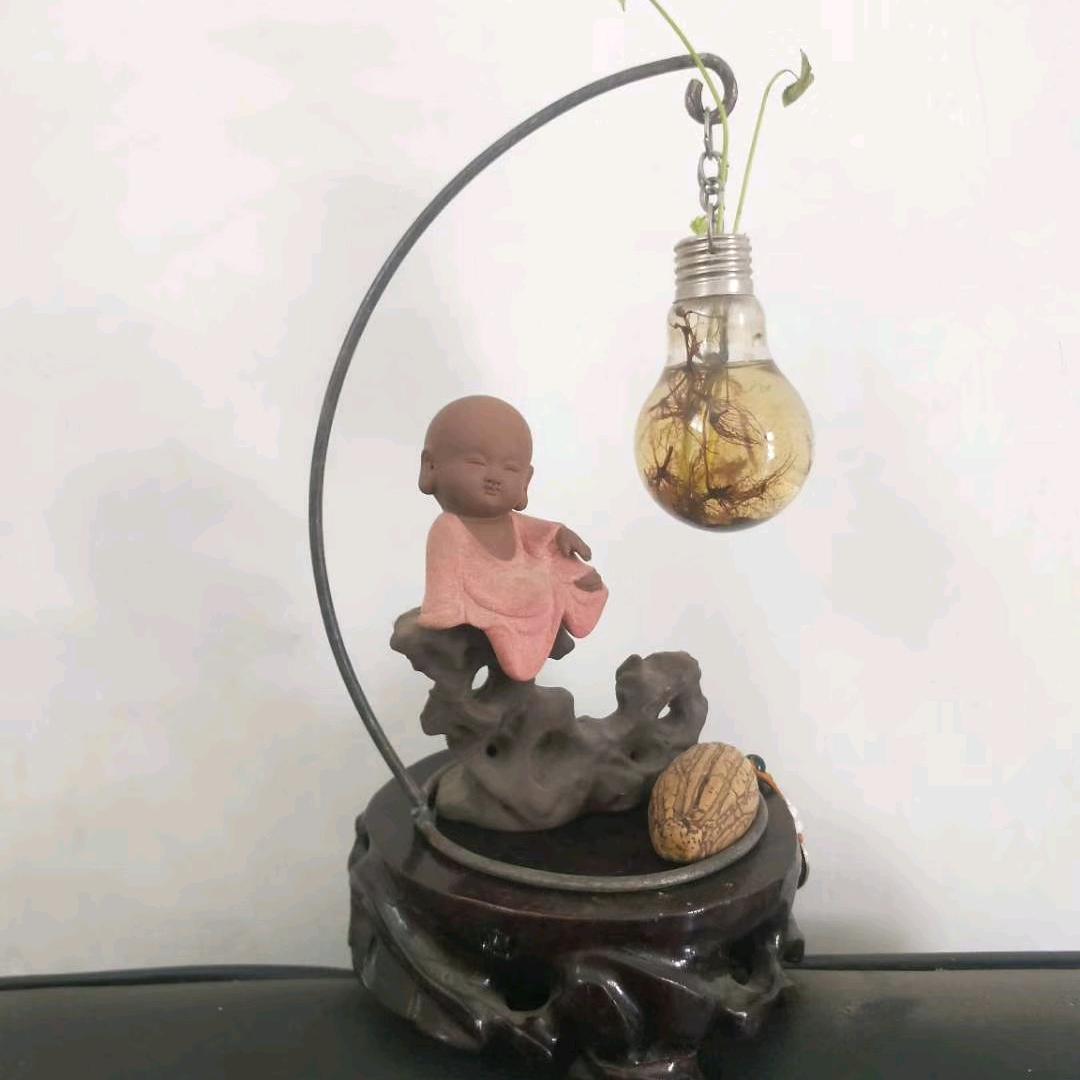 落花浊酒南柯梦（强）