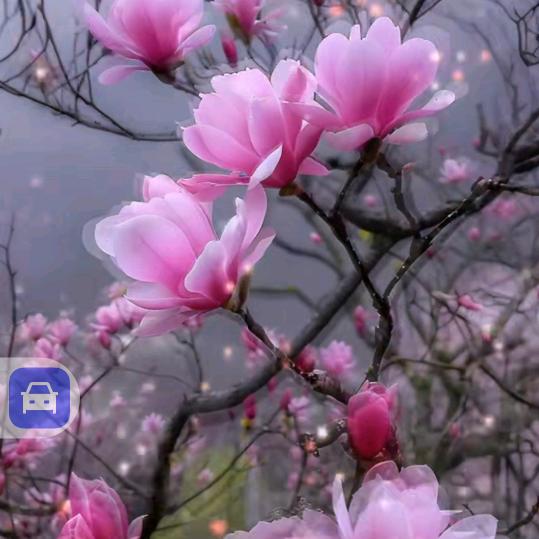 好人一生平安