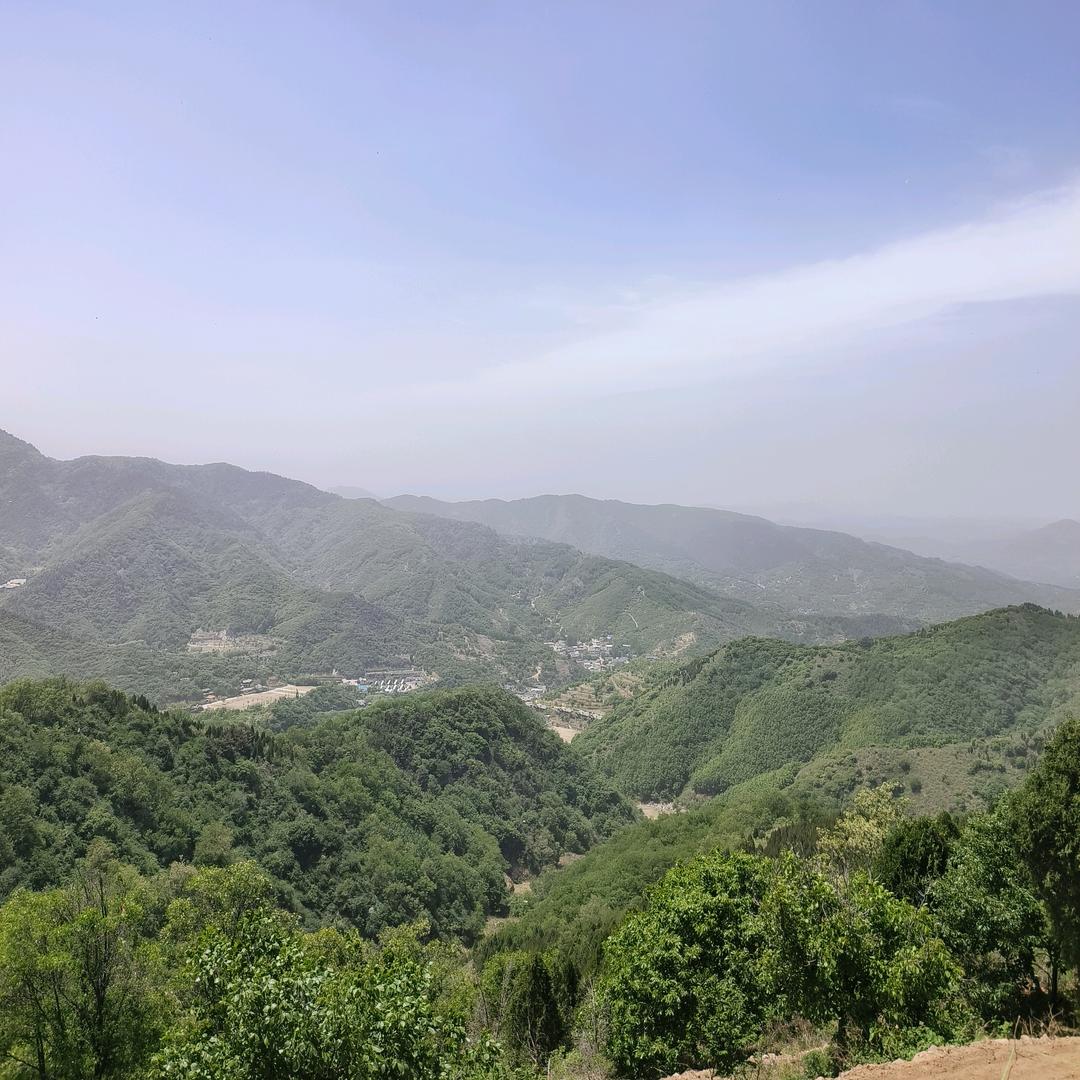 AAA沐沐