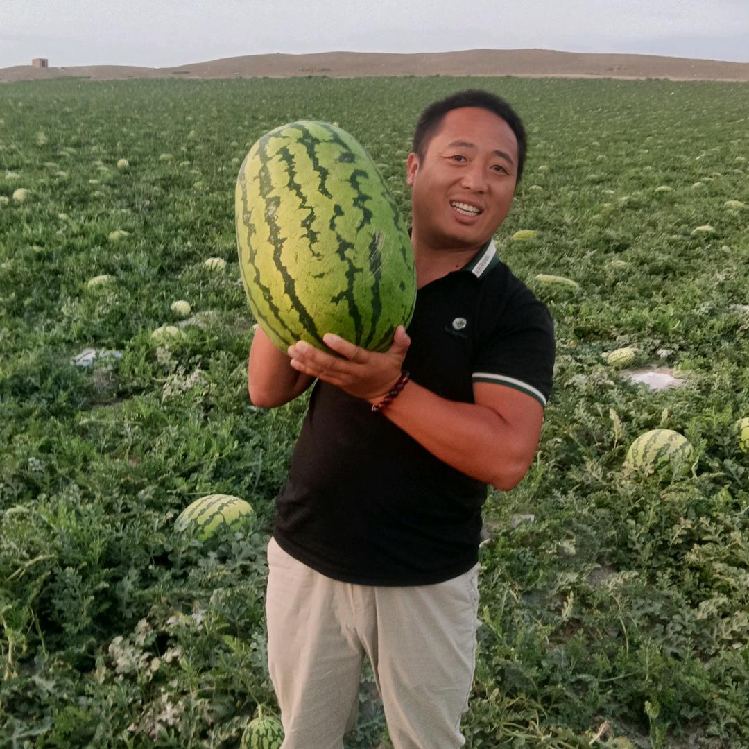 华阴瓜果代办