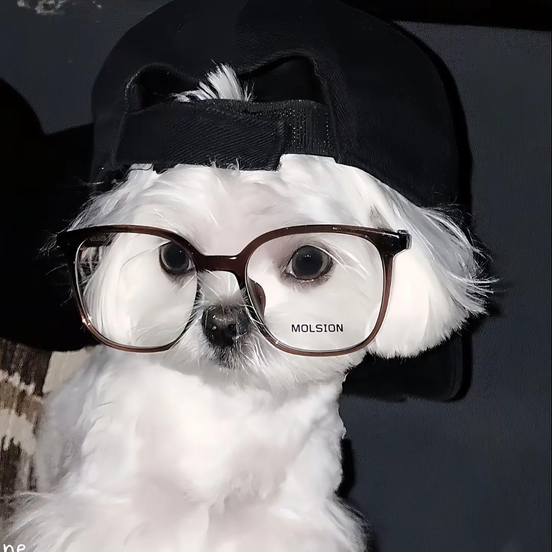 猜猜你是谁✌🏻
