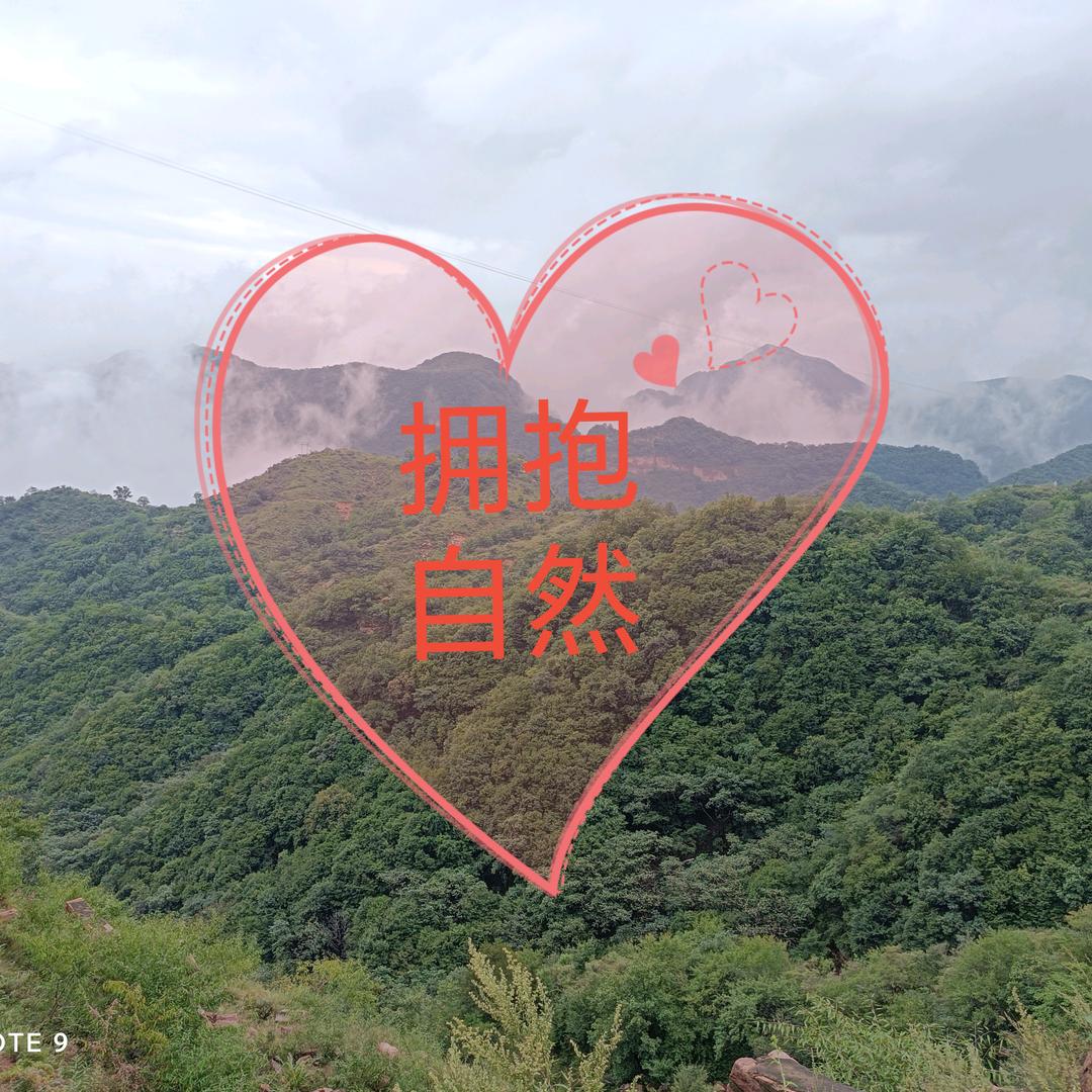 诚真