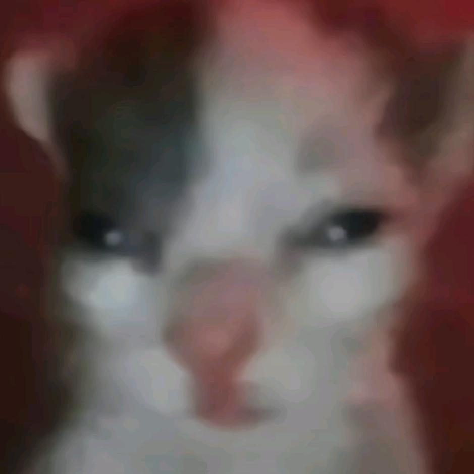性感蟑螂