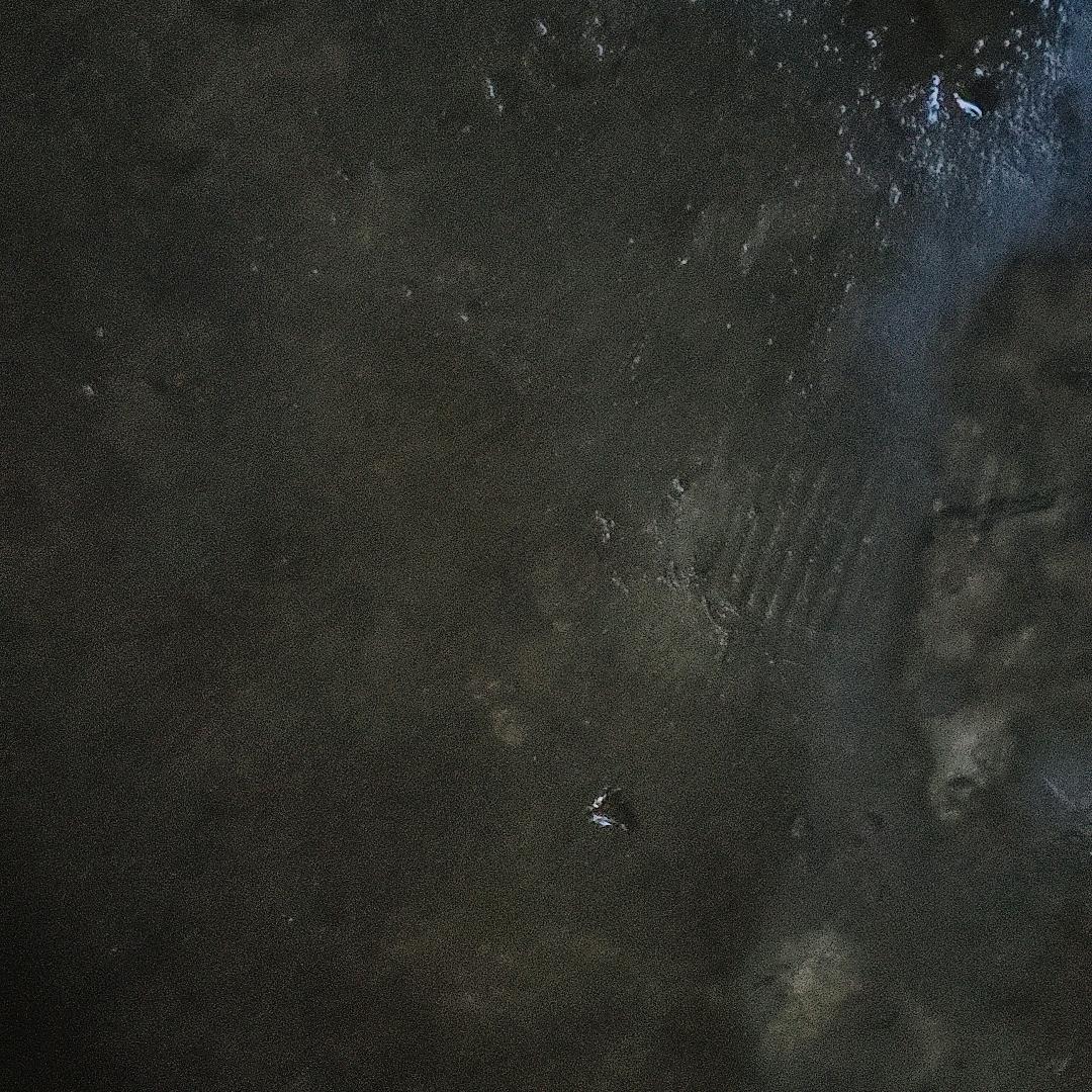 会飞的雷克萨思