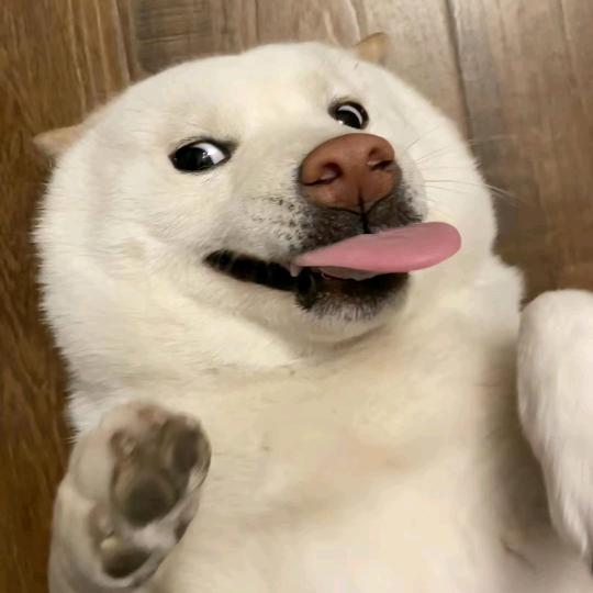 香辣炸土豆