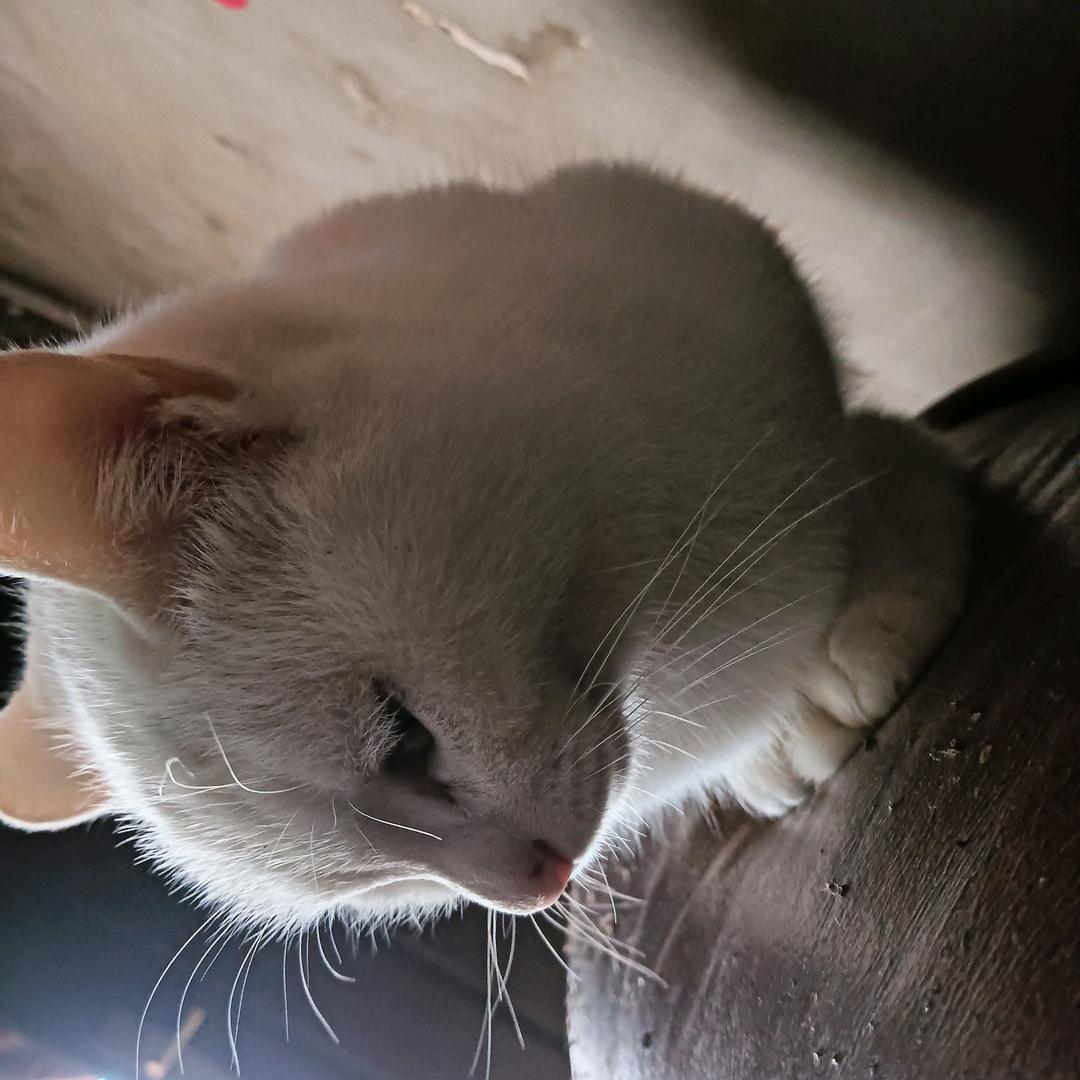 相约在线