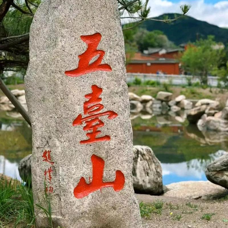 五台雅雅
