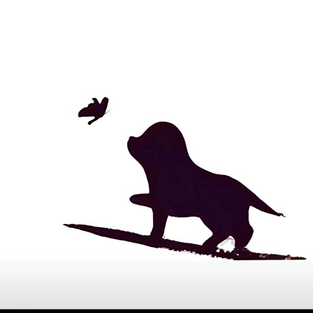 桃子在水户演奏