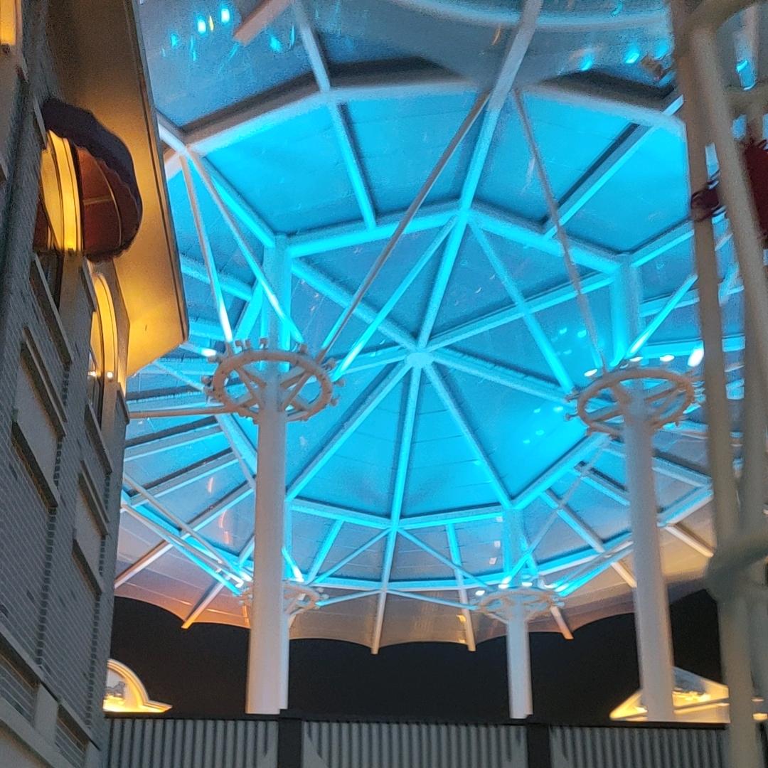 你的未来🌼我的梦