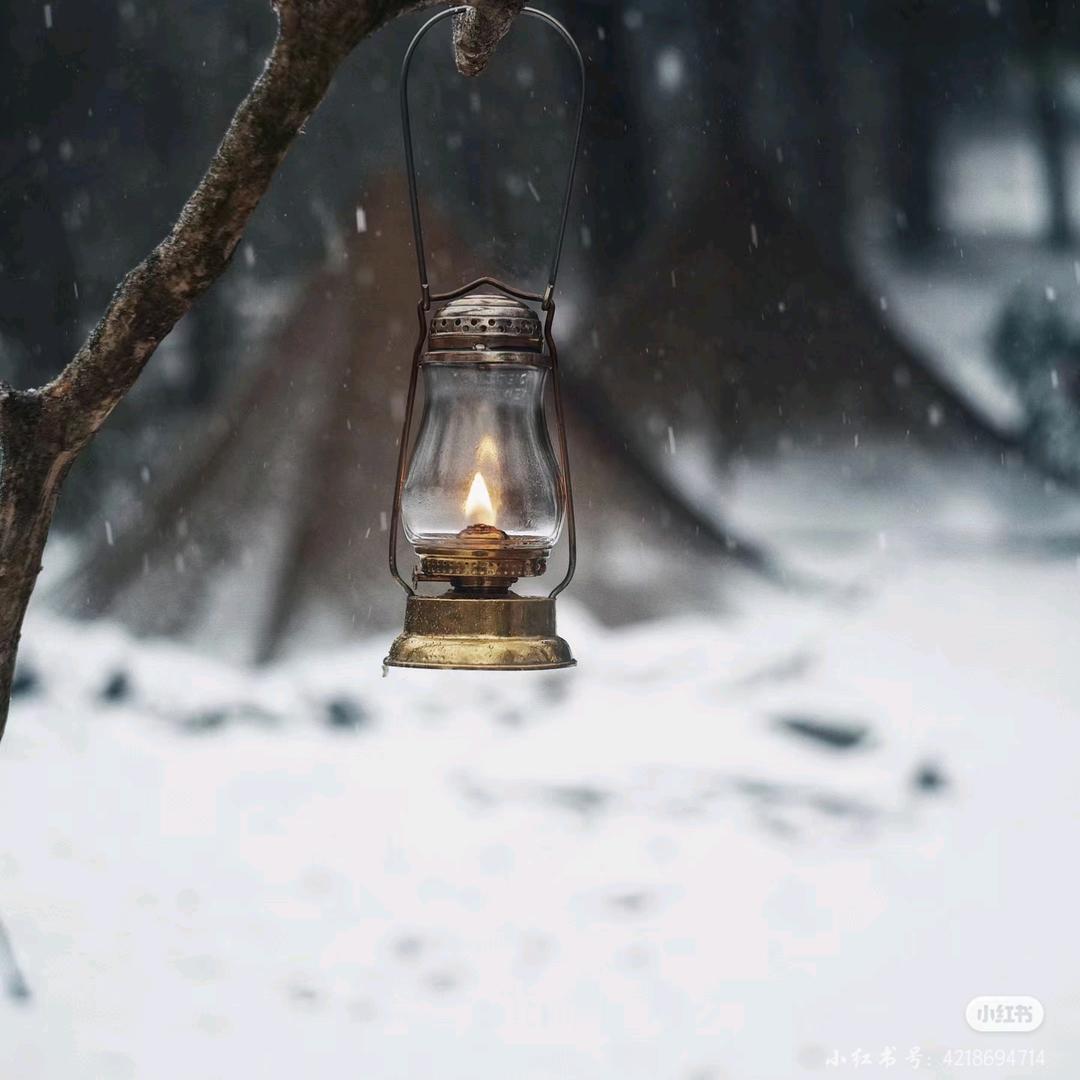 雪地露营