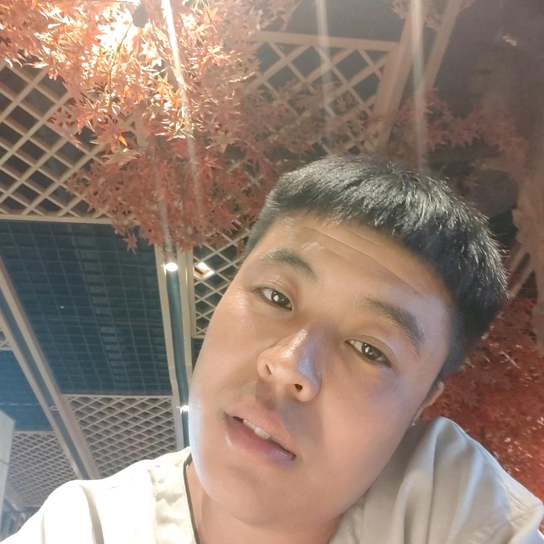 智影东来
