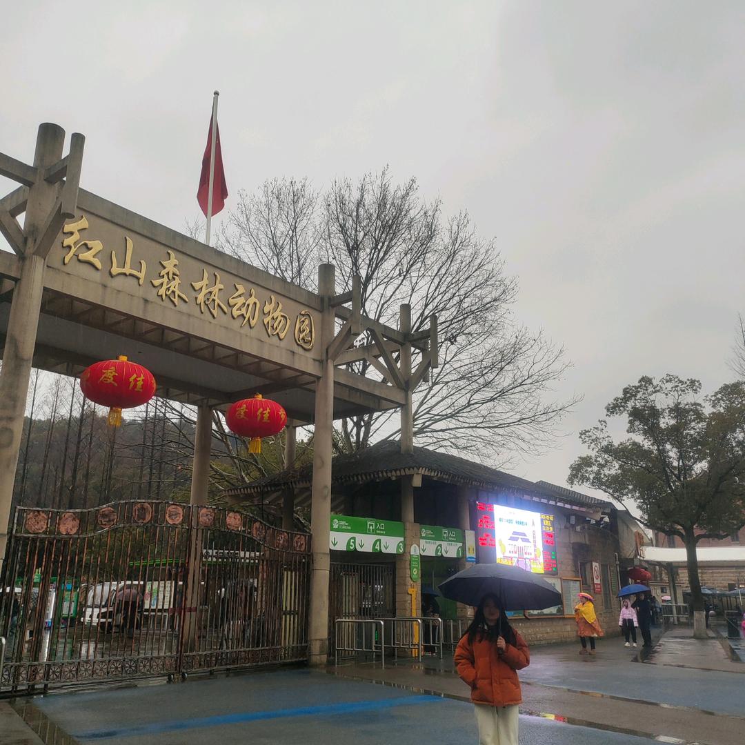 零零要努力