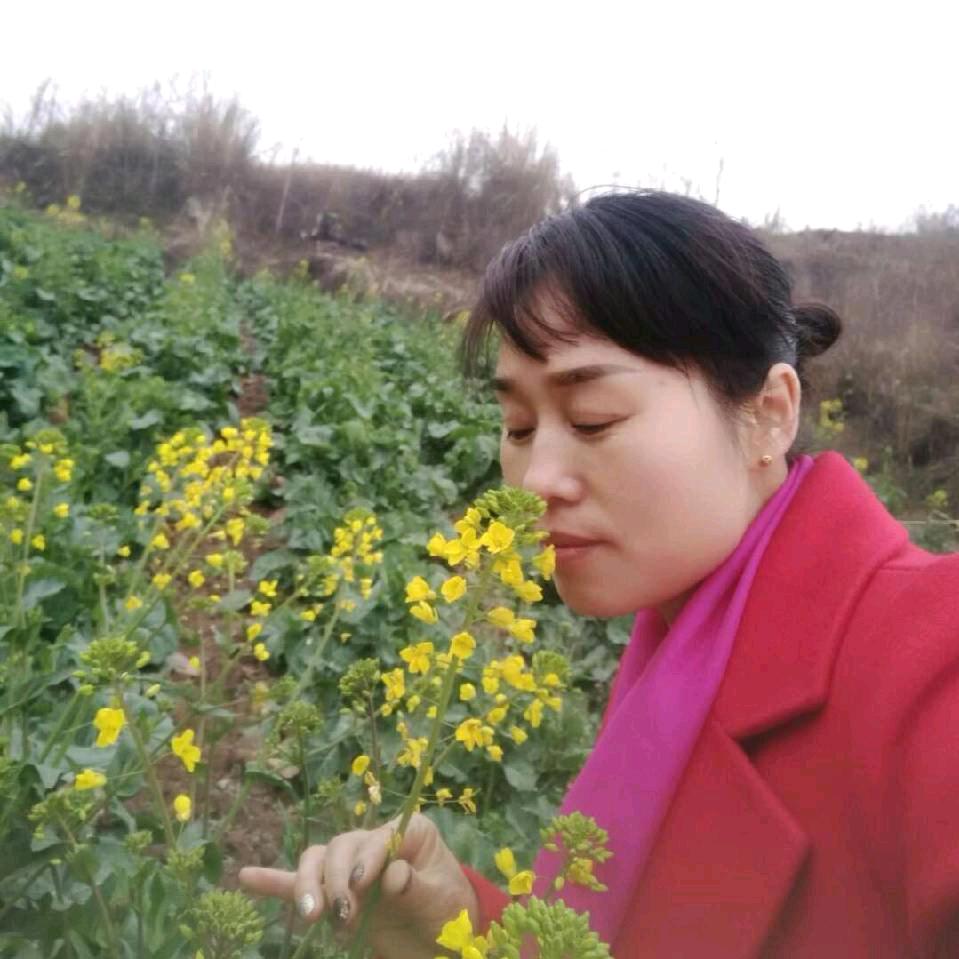 秀丽