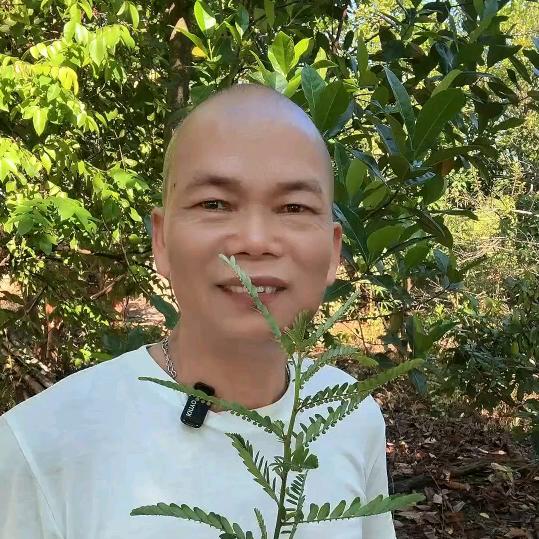 杰哥在江门