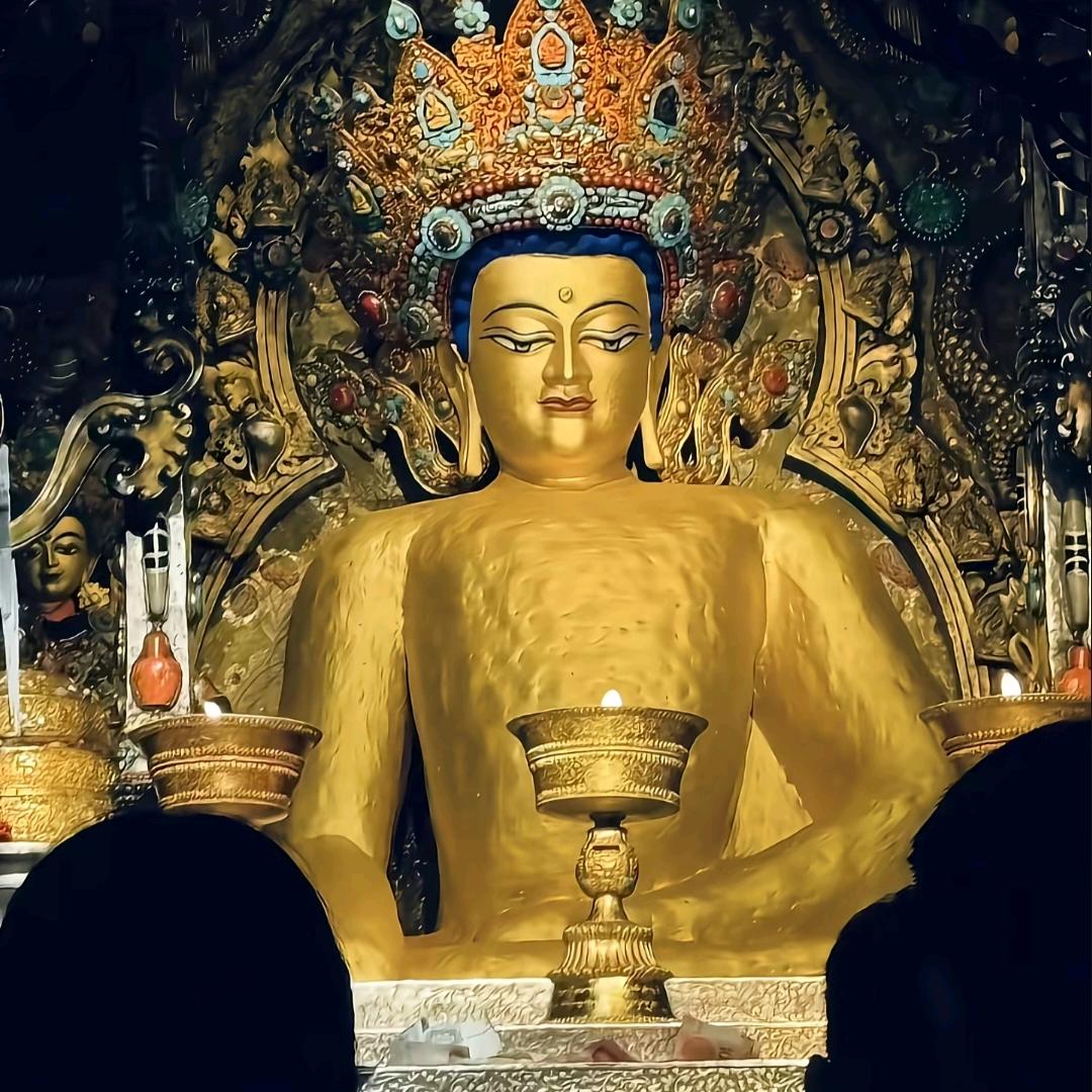 大叔 ཨ་ཁུ🦋