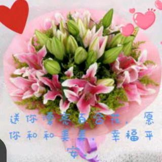 春天百合