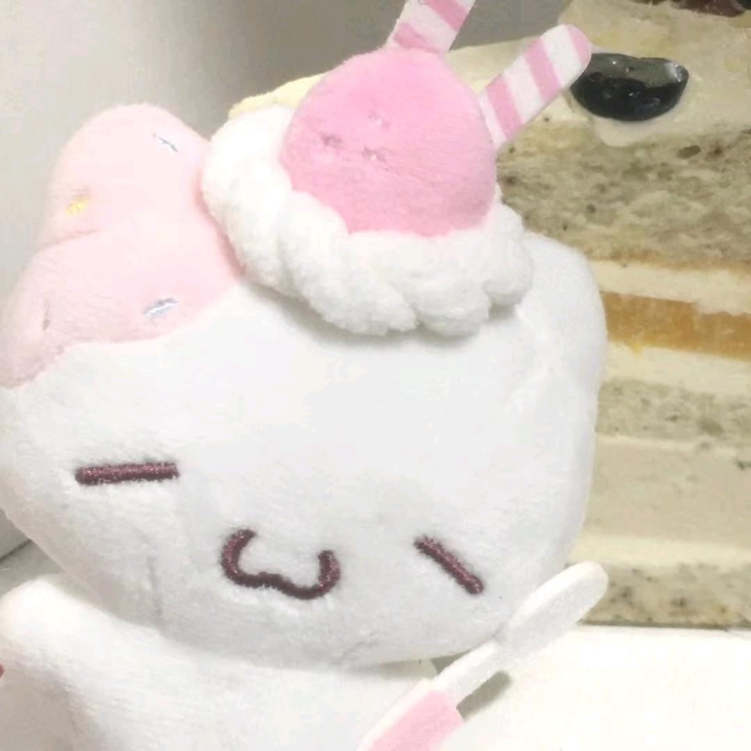 猫男收藏家