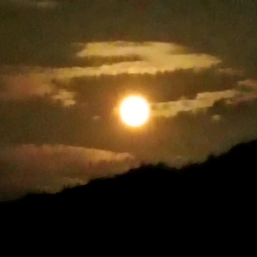 唯唔逆天谢绝连电