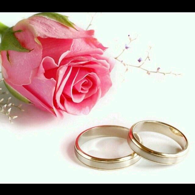 🌺🌷🌹🐴🌹🌷🌺