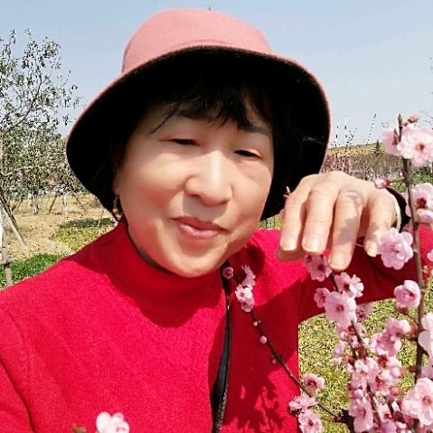 石磊花