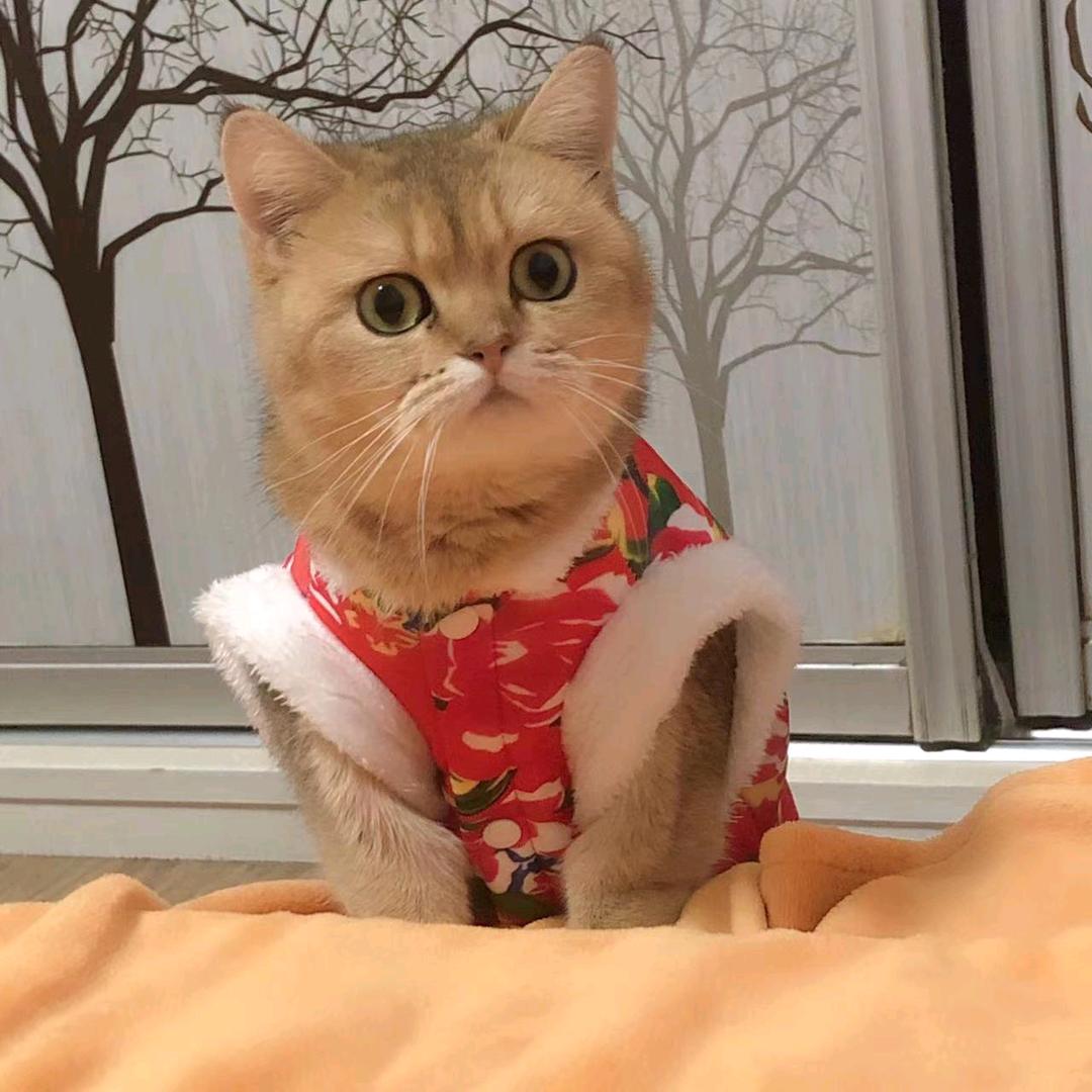 奔跑吧少年