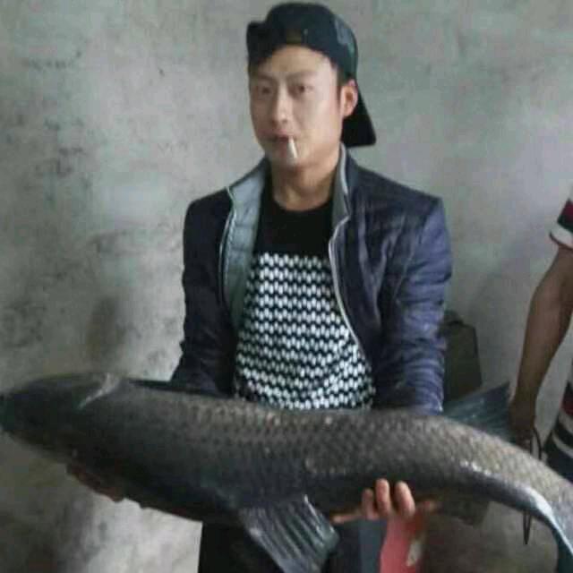༺ཌ༈༒༈ད༻