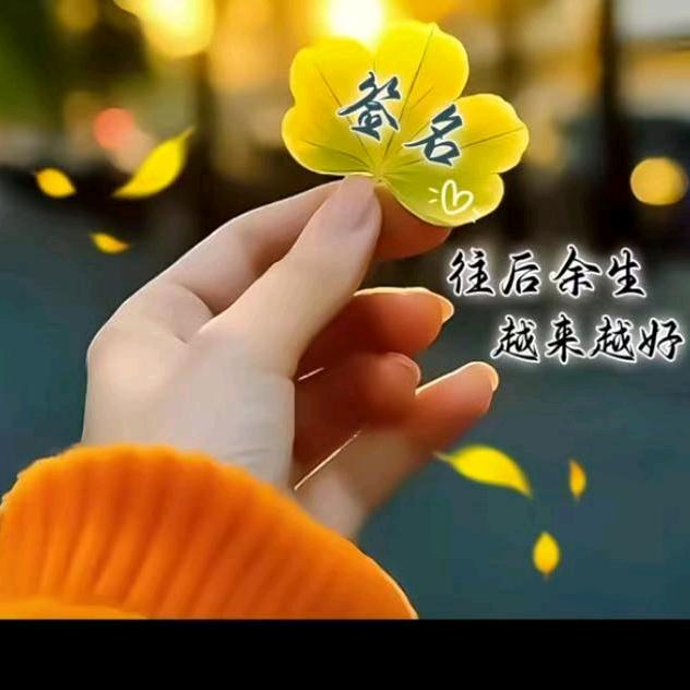 粤J**：