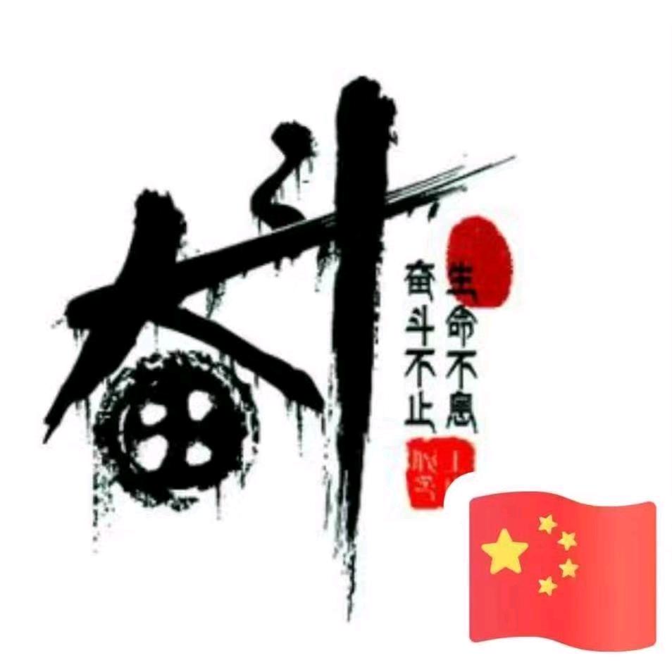 宝哥依然潇洒