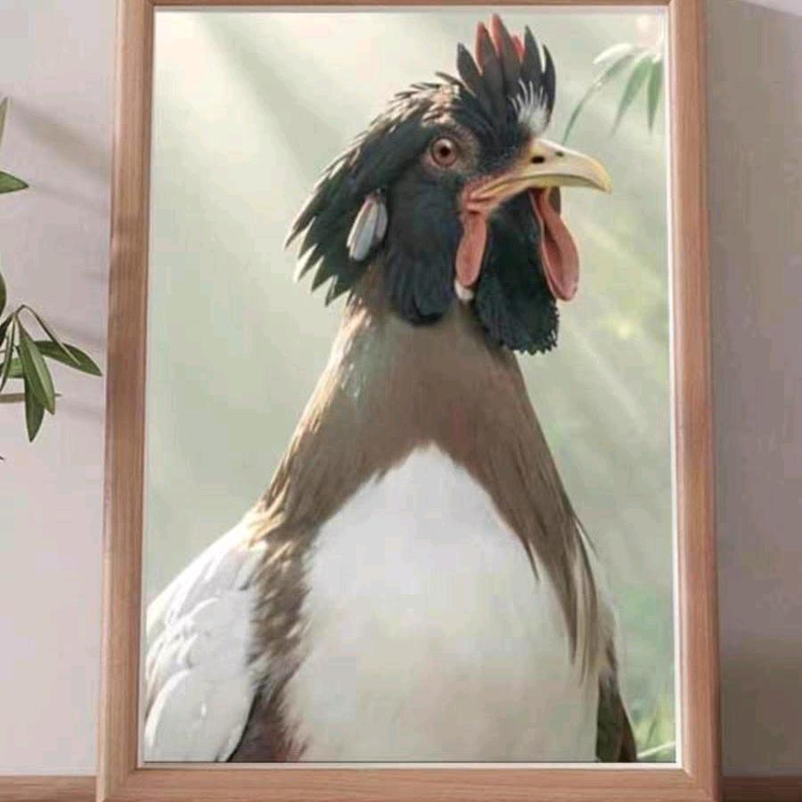 哒哒哒哒头像