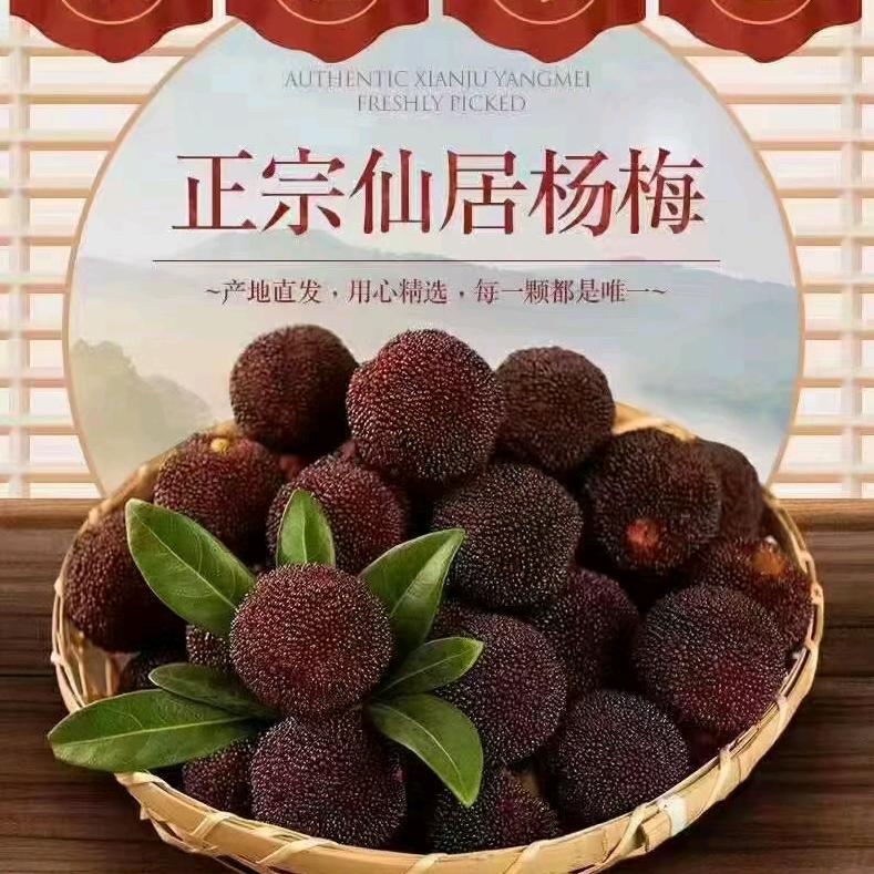 三农杰哥