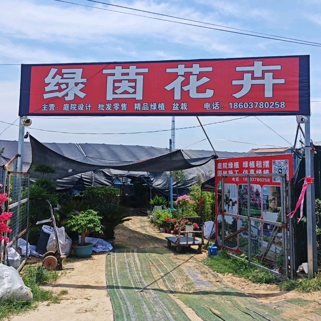 淮阳绿茵花卉