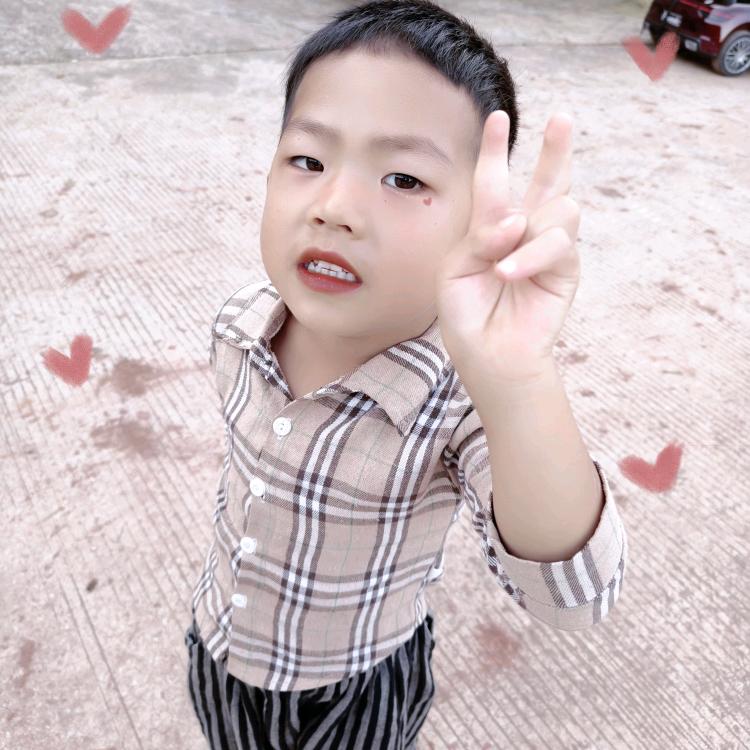 孤独飞鹰