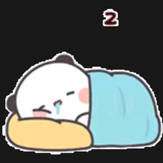 我爱睡觉💤