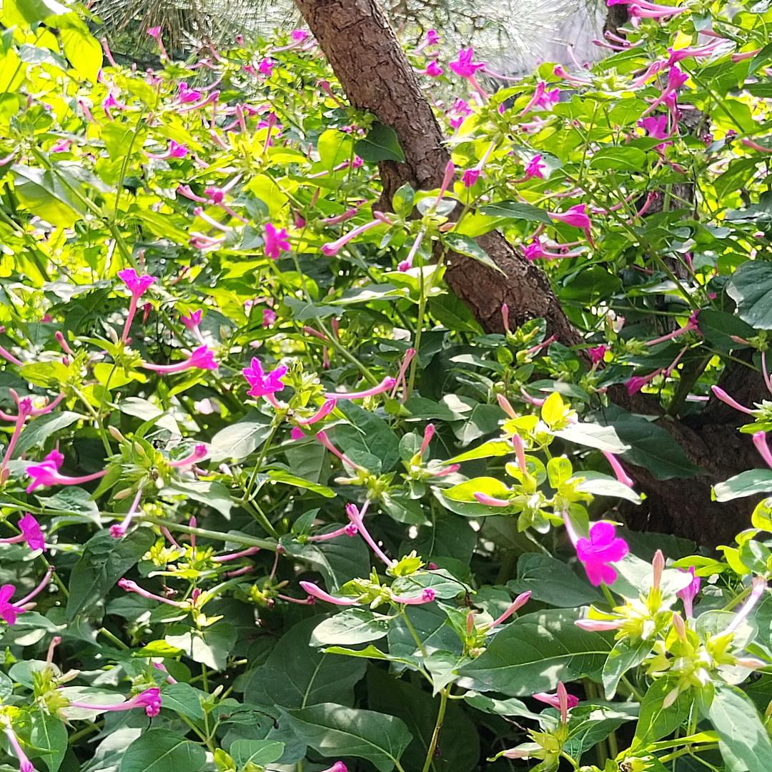 有你就辛福
